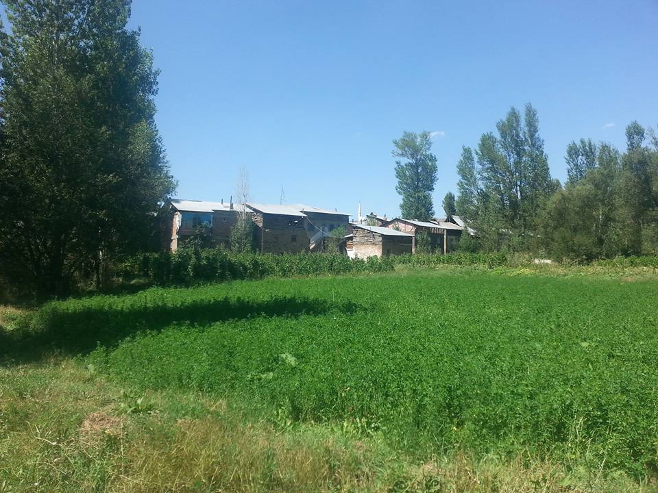 Köy Manzarası 4