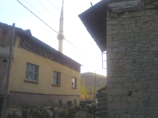 Köy Manzarası 5