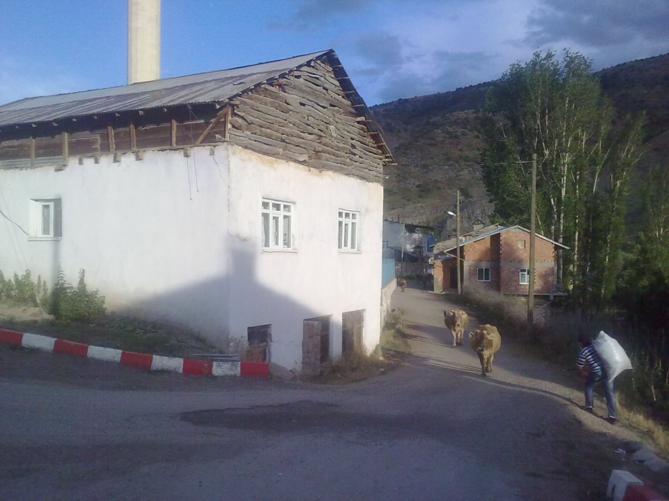 Köy Manzarası 6